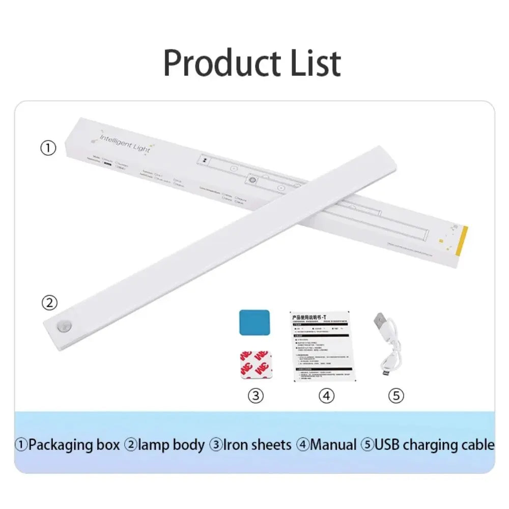 Smart LED Motion Light