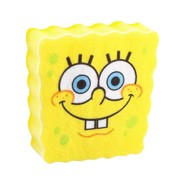 Adorable Sponge Holder for Kitchens